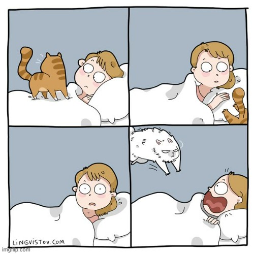 A Cat's Way Of Thinking | image tagged in memes,comics,cats,when you see it,bye,here it comes | made w/ Imgflip meme maker