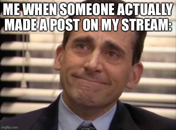 wholesome | ME WHEN SOMEONE ACTUALLY MADE A POST ON MY STREAM: | image tagged in wholesome | made w/ Imgflip meme maker