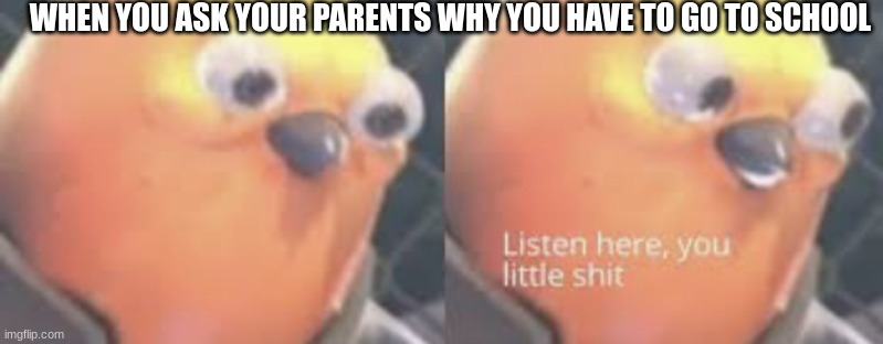 Listen here you little shit bird | WHEN YOU ASK YOUR PARENTS WHY YOU HAVE TO GO TO SCHOOL | image tagged in listen here you little shit bird | made w/ Imgflip meme maker