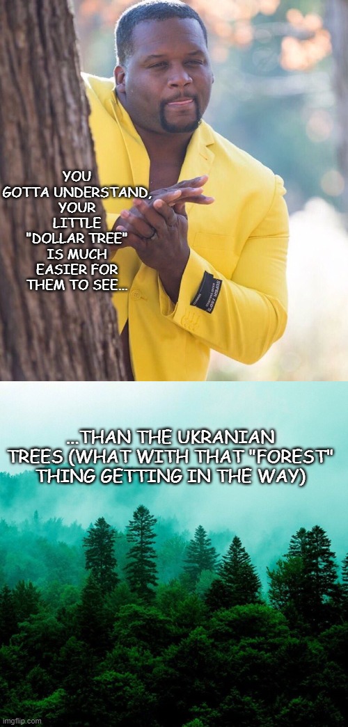 YOU GOTTA UNDERSTAND, YOUR LITTLE "DOLLAR TREE" IS MUCH EASIER FOR THEM TO SEE... ...THAN THE UKRANIAN TREES (WHAT WITH THAT "FOREST" THING  | image tagged in black man behind tree template,forest tree tops | made w/ Imgflip meme maker