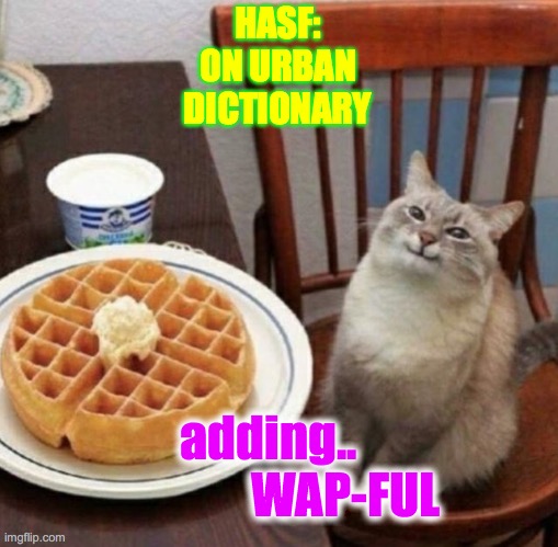 pleased with myself | HASF: 
ON URBAN DICTIONARY; adding.. 
               WAP-FUL | image tagged in kitty happy with their waffle | made w/ Imgflip meme maker