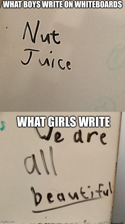 Just admit it | WHAT BOYS WRITE ON WHITEBOARDS; WHAT GIRLS WRITE | image tagged in vital juice,different genders on whiteboards | made w/ Imgflip meme maker
