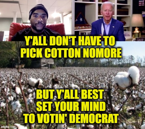New Plantation |  Y'ALL DON'T HAVE TO 
PICK COTTON NOMORE; BUT Y'ALL BEST 
SET YOUR MIND
TO VOTIN' DEMOCRAT | image tagged in joe biden | made w/ Imgflip meme maker