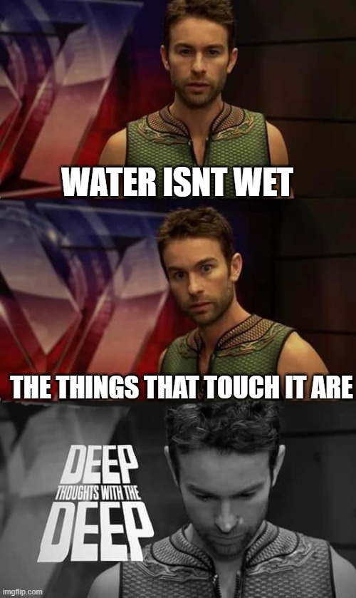 Shallow water | WATER ISNT WET; THE THINGS THAT TOUCH IT ARE | image tagged in deep thoughts with the deep,water,memes | made w/ Imgflip meme maker