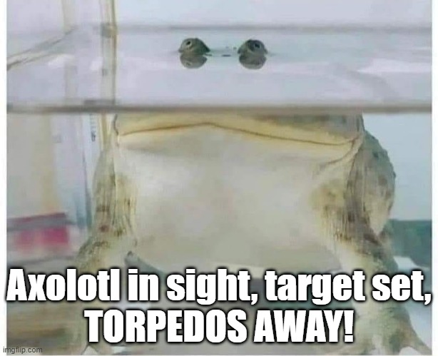 Frog Submarine | Axolotl in sight, target set,
TORPEDOS AWAY! | image tagged in submarine,frog,toad,torpedos | made w/ Imgflip meme maker