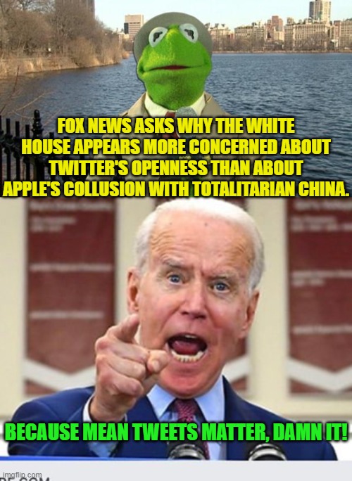 Besides . . . Elon doesn't kick back 10% for the Big Guy while Apple very obviously . . . does. | FOX NEWS ASKS WHY THE WHITE HOUSE APPEARS MORE CONCERNED ABOUT TWITTER'S OPENNESS THAN ABOUT APPLE'S COLLUSION WITH TOTALITARIAN CHINA. BECAUSE MEAN TWEETS MATTER, DAMN IT! | image tagged in kermit news report | made w/ Imgflip meme maker