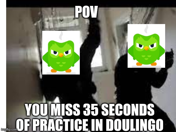 fbi | POV; YOU MISS 35 SECONDS OF PRACTICE IN DOULINGO | image tagged in fbi open up | made w/ Imgflip meme maker