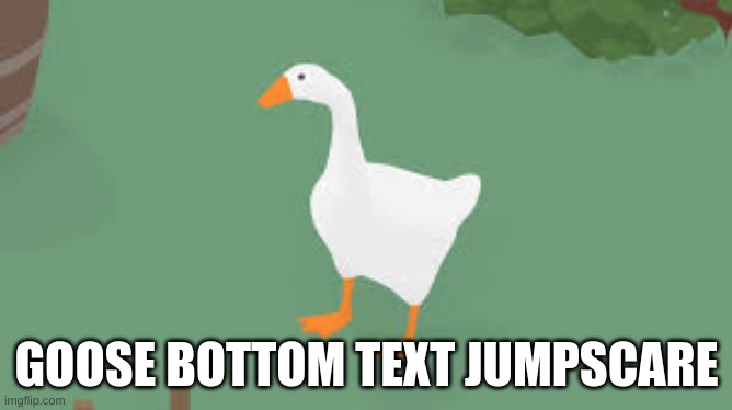 Goose | GOOSE BOTTOM TEXT JUMPSCARE | image tagged in goose | made w/ Imgflip meme maker