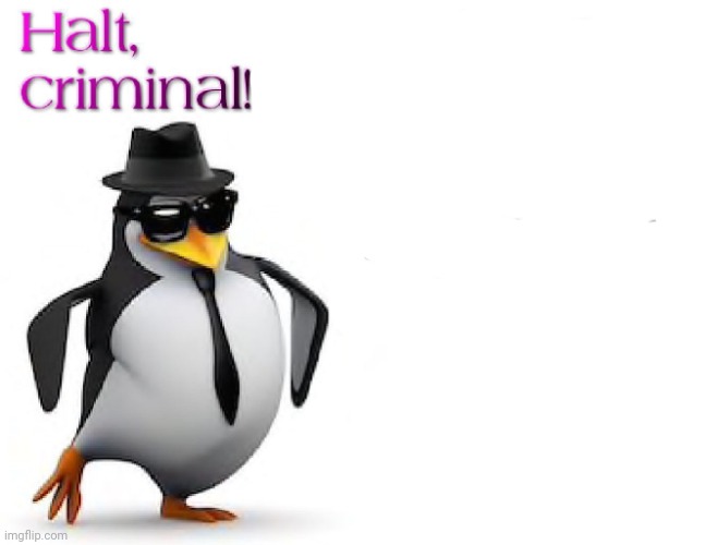 halt criminal! | image tagged in halt criminal | made w/ Imgflip meme maker