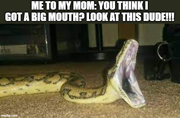 Image tagged in snake,pythons,big mouth,funny,memes - Imgflip