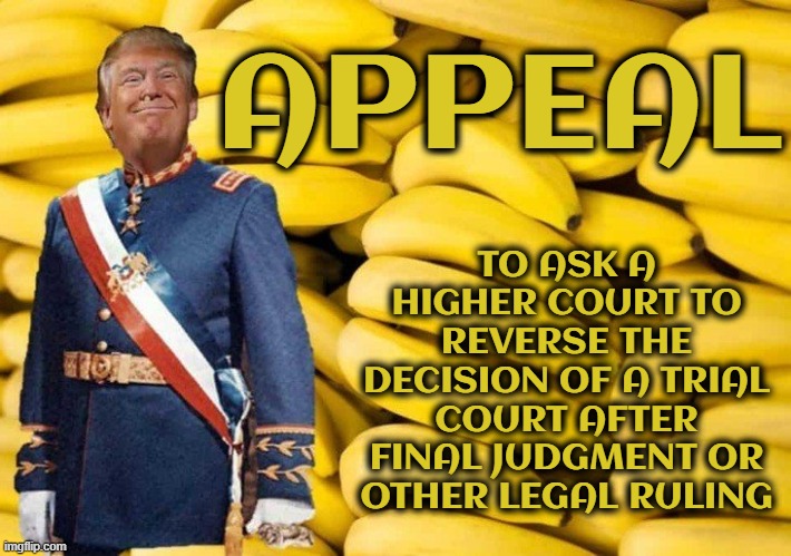APPEAL | TO ASK A HIGHER COURT TO REVERSE THE DECISION OF A TRIAL COURT AFTER FINAL JUDGMENT OR OTHER LEGAL RULING; APPEAL | image tagged in appeal,trial,court,judgement,ruling,legal | made w/ Imgflip meme maker