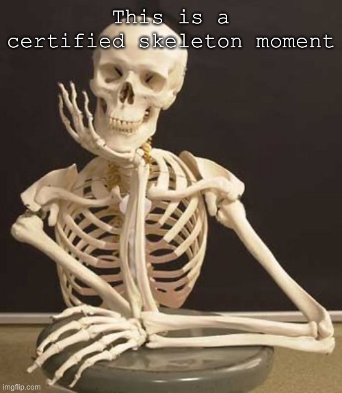 Skull | This is a certified skeleton moment | image tagged in skull | made w/ Imgflip meme maker