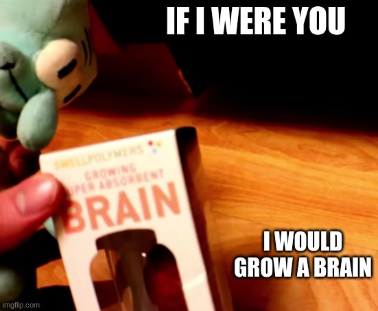 *squidward tentacles noises* | image tagged in if i were you i would grow a brain | made w/ Imgflip meme maker