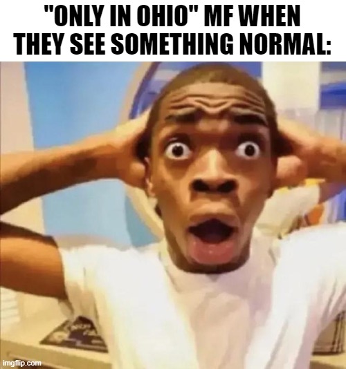 "ONLY IN OHIO" MF WHEN THEY SEE SOMETHING NORMAL: | made w/ Imgflip meme maker