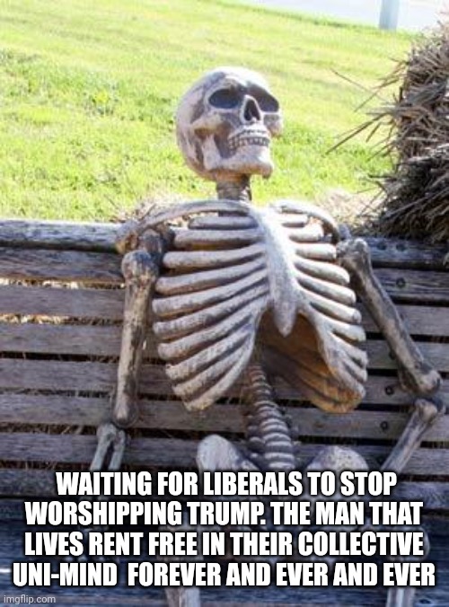 Waiting Skeleton Meme | WAITING FOR LIBERALS TO STOP WORSHIPPING TRUMP. THE MAN THAT LIVES RENT FREE IN THEIR COLLECTIVE UNI-MIND  FOREVER AND EVER AND EVER | image tagged in memes,waiting skeleton | made w/ Imgflip meme maker