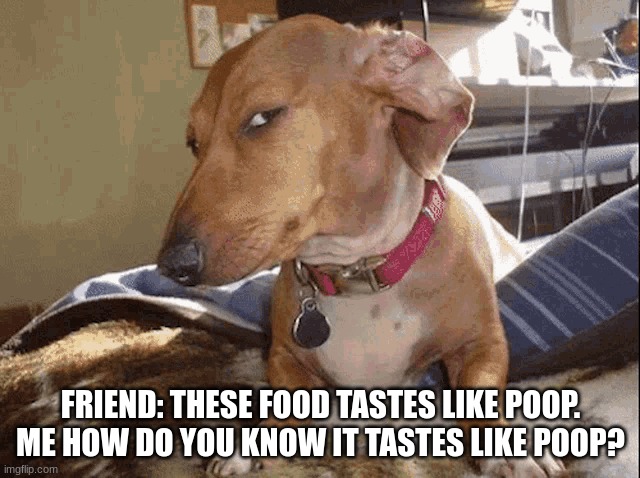 sus dog meme | FRIEND: THESE FOOD TASTES LIKE POOP. ME HOW DO YOU KNOW IT TASTES LIKE POOP? | image tagged in sus dog meme | made w/ Imgflip meme maker