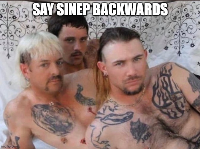 Tiger King and Cubs | SAY SINEP BACKWARDS | image tagged in tiger king and cubs | made w/ Imgflip meme maker