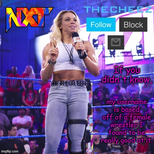 If you didn't know, my username is based off of a female wrestler I found to be really good at it. | image tagged in zoey stark template | made w/ Imgflip meme maker