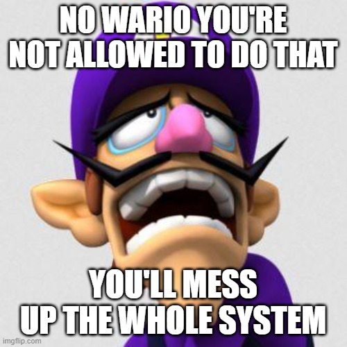 Sad Waluigi | NO WARIO YOU'RE NOT ALLOWED TO DO THAT YOU'LL MESS UP THE WHOLE SYSTEM | image tagged in sad waluigi | made w/ Imgflip meme maker