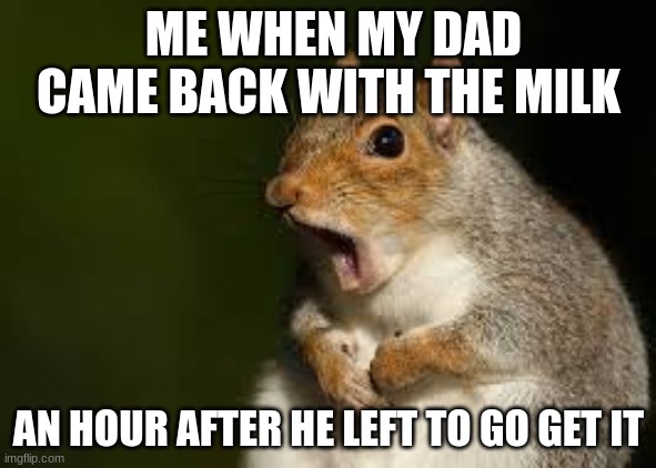 Image Title | ME WHEN MY DAD CAME BACK WITH THE MILK; AN HOUR AFTER HE LEFT TO GO GET IT | image tagged in surprised squirrel | made w/ Imgflip meme maker