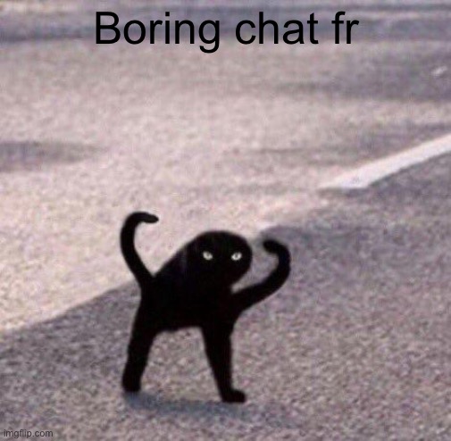 Cursed cat temp | Boring chat Fr | image tagged in cursed cat temp | made w/ Imgflip meme maker
