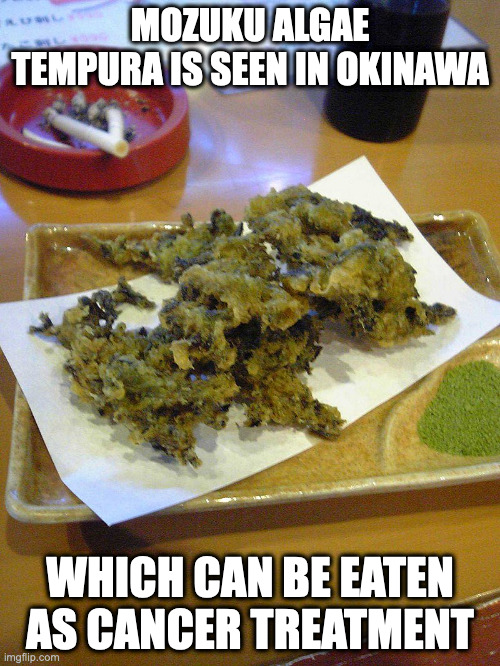 Mozuku Tempura | MOZUKU ALGAE TEMPURA IS SEEN IN OKINAWA; WHICH CAN BE EATEN AS CANCER TREATMENT | image tagged in food,memes | made w/ Imgflip meme maker