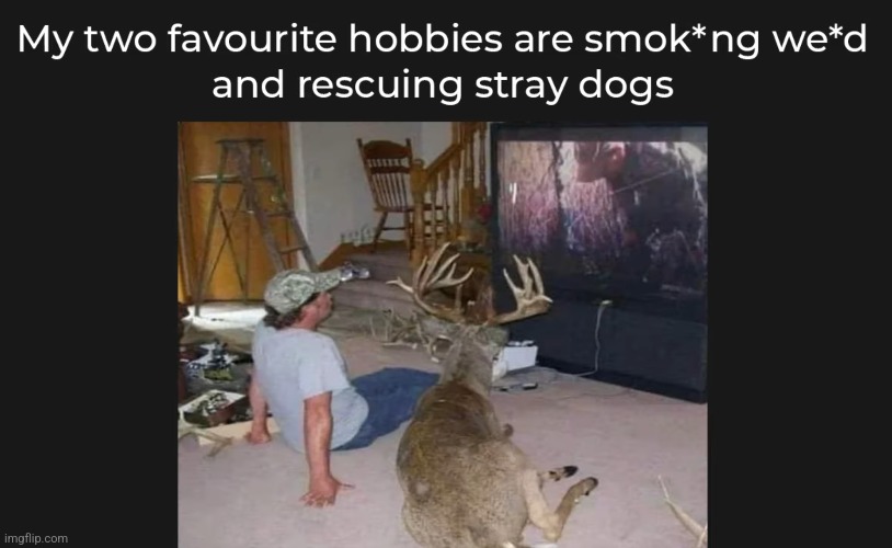 image tagged in funny memes | made w/ Imgflip meme maker