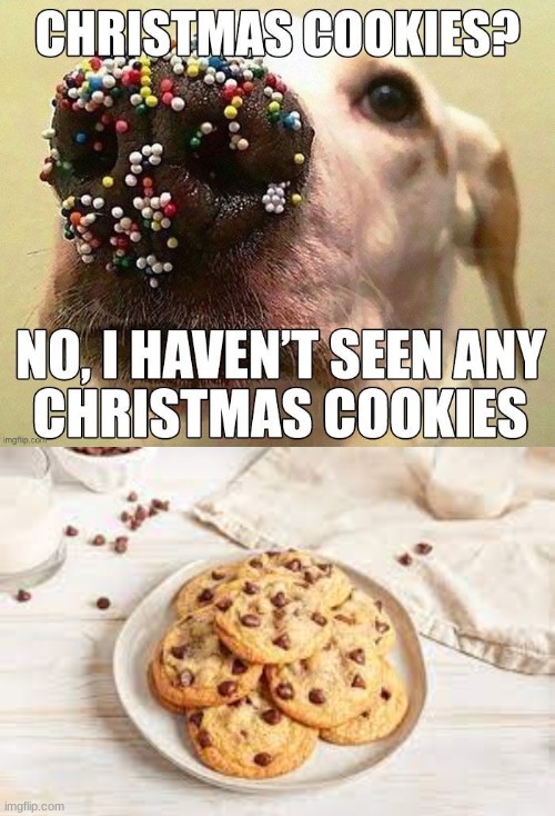 Image from iceu | made w/ Imgflip meme maker