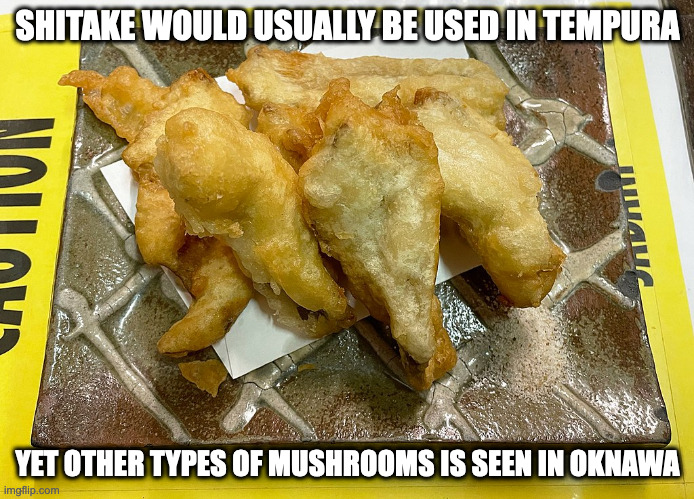 Mushroom Tempura | SHITAKE WOULD USUALLY BE USED IN TEMPURA; YET OTHER TYPES OF MUSHROOMS IS SEEN IN OKNAWA | image tagged in food,memes | made w/ Imgflip meme maker