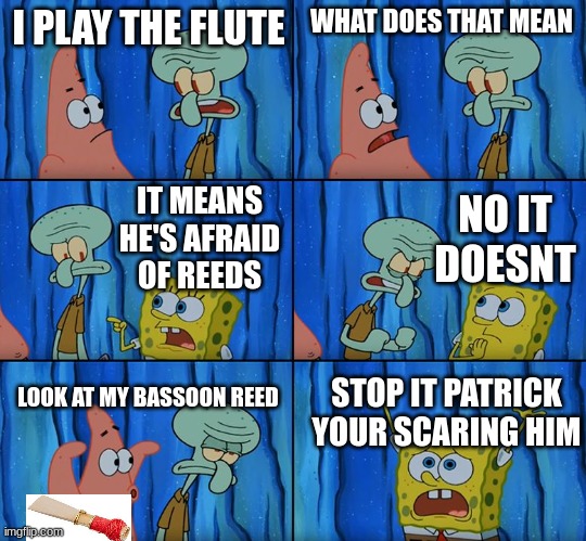 Stop it, Patrick! You're Scaring Him! | I PLAY THE FLUTE; WHAT DOES THAT MEAN; NO IT DOESNT; IT MEANS HE'S AFRAID OF REEDS; LOOK AT MY BASSOON REED; STOP IT PATRICK YOUR SCARING HIM | image tagged in stop it patrick you're scaring him | made w/ Imgflip meme maker