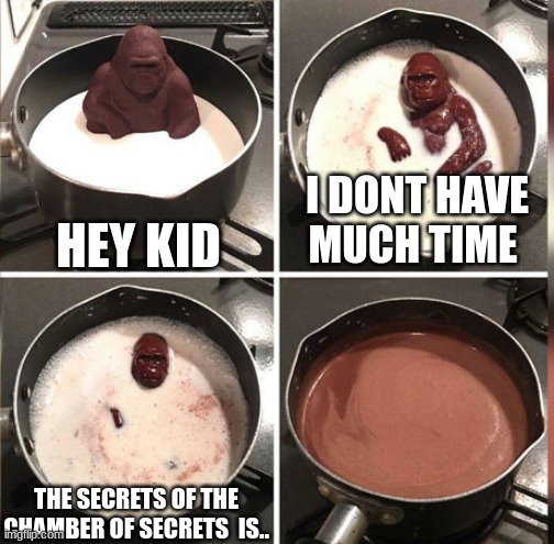 Hey Kid, I don't have much time | HEY KID; I DONT HAVE MUCH TIME; THE SECRETS OF THE CHAMBER OF SECRETS  IS.. | image tagged in hey kid i don't have much time | made w/ Imgflip meme maker