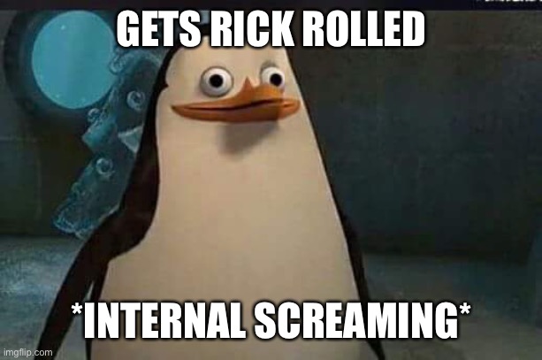 Madagascar penguin | GETS RICK ROLLED *INTERNAL SCREAMING* | image tagged in madagascar penguin | made w/ Imgflip meme maker