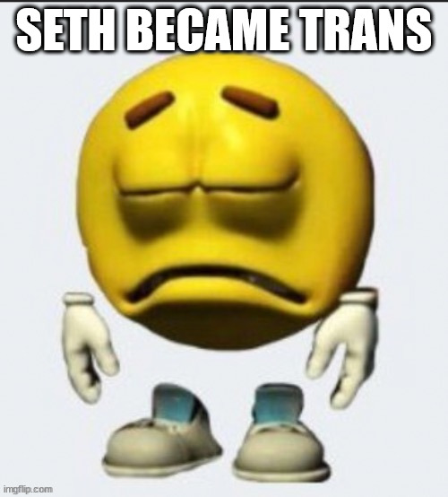 Sad emoji | SETH BECAME TRANS | image tagged in sad emoji boi | made w/ Imgflip meme maker