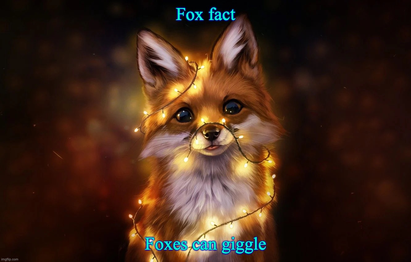 Fox fact; Foxes can giggle | made w/ Imgflip meme maker