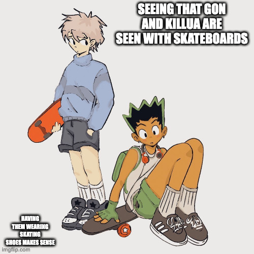 Gon and Killua With Skateboards | SEEING THAT GON AND KILLUA ARE SEEN WITH SKATEBOARDS; HAVING THEM WEARING SKATING SHOES MAKES SENSE | image tagged in skateboard,hunter x hunter,gon freecees,killua zoldyck,memes | made w/ Imgflip meme maker