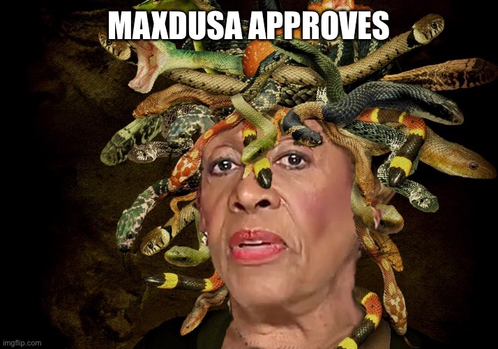 I am Maxdusa | MAXDUSA APPROVES | image tagged in maxdusa waters | made w/ Imgflip meme maker