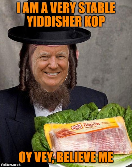 Jewish jew | I AM A VERY STABLE
YIDDISHER KOP OY VEY, BELIEVE ME | image tagged in jewish jew | made w/ Imgflip meme maker