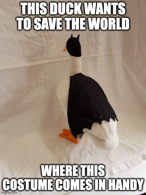 Duck in Batman Costume | THIS DUCK WANTS TO SAVE THE WORLD; WHERE THIS COSTUME COMES IN HANDY | image tagged in duck,memes | made w/ Imgflip meme maker