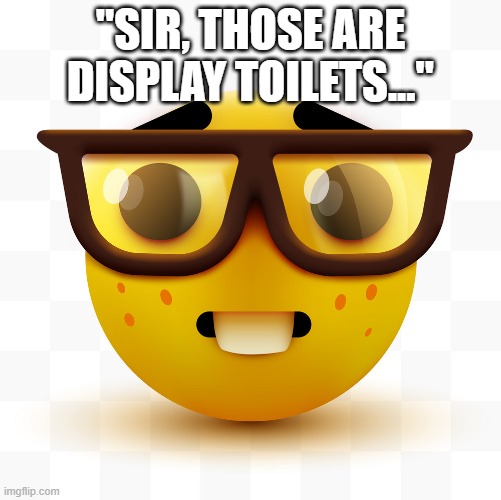 Nerd emoji | "SIR, THOSE ARE DISPLAY TOILETS..." | image tagged in nerd emoji | made w/ Imgflip meme maker