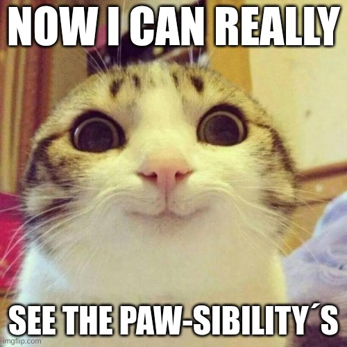 Smiling Cat Meme | NOW I CAN REALLY; SEE THE PAW-SIBILITY´S | image tagged in memes,smiling cat | made w/ Imgflip meme maker