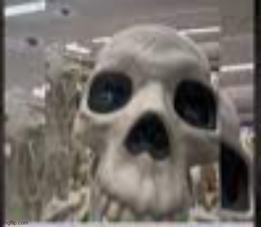 skull | made w/ Imgflip meme maker