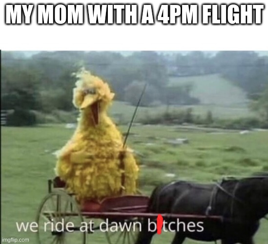 EVERY TIME | MY MOM WITH A 4PM FLIGHT | image tagged in we ride at dawn bitches | made w/ Imgflip meme maker
