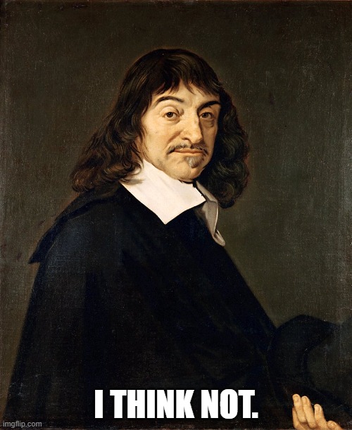 Descartes I think Not | I THINK NOT. | image tagged in descartes | made w/ Imgflip meme maker