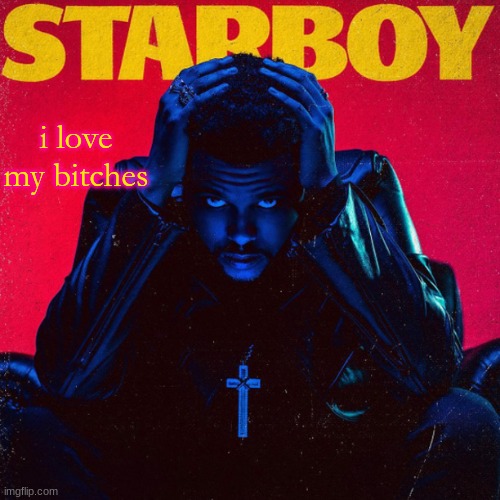 starboy. | i love my bitches | image tagged in starboy | made w/ Imgflip meme maker