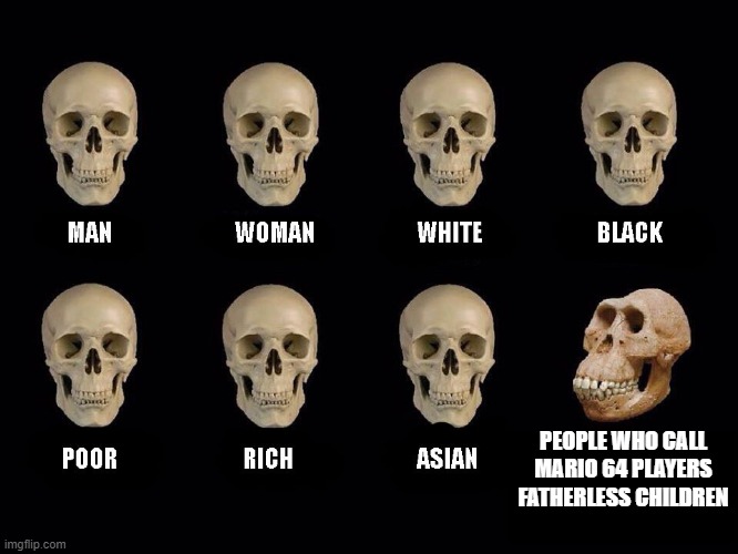 Mario 64 does not make people fatherless | PEOPLE WHO CALL MARIO 64 PLAYERS FATHERLESS CHILDREN | image tagged in empty skulls of truth | made w/ Imgflip meme maker