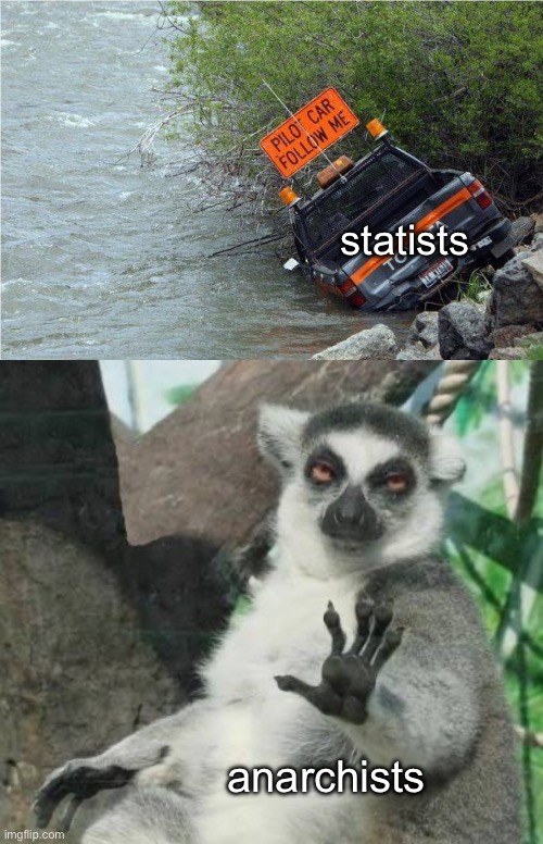 statists; anarchists | image tagged in no thanks lemur | made w/ Imgflip meme maker