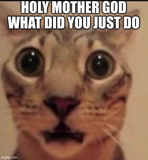 No template yipppppe | HOLY MOTHER GOD WHAT DID YOU JUST DO | image tagged in holy mother of god | made w/ Imgflip meme maker