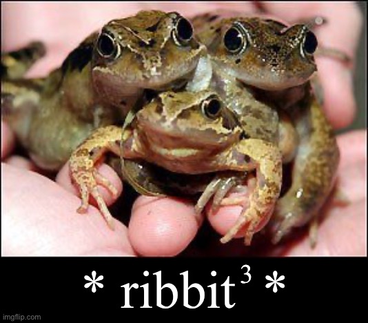 3 * ribbit  * | made w/ Imgflip meme maker