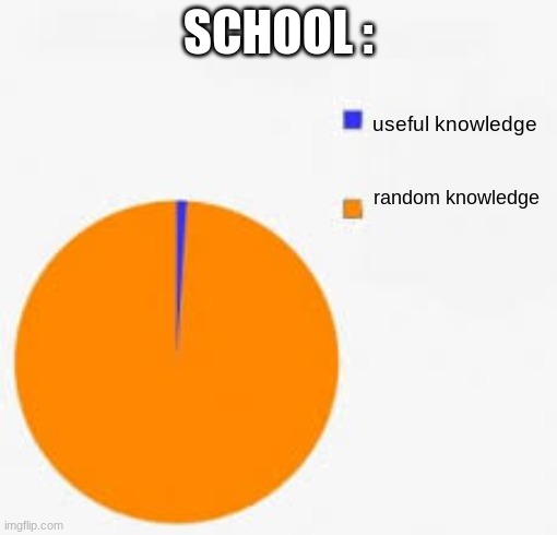 Pie Chart Meme | SCHOOL :; useful knowledge; random knowledge | image tagged in pie chart meme | made w/ Imgflip meme maker