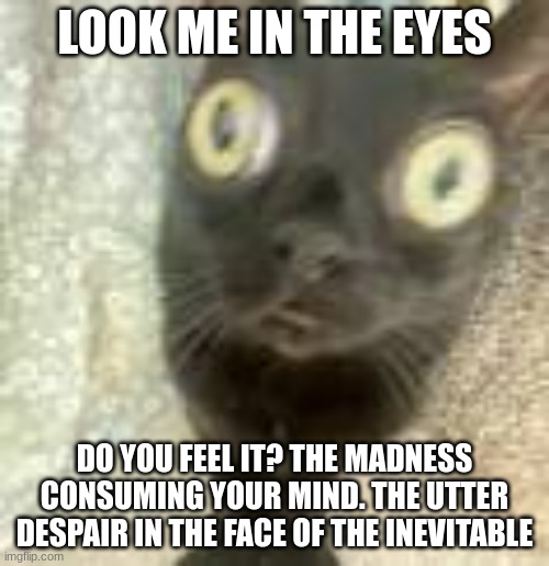 jokes jokes lol i feel mently :) | LOOK ME IN THE EYES; DO YOU FEEL IT? THE MADNESS CONSUMING YOUR MIND. THE UTTER DESPAIR IN THE FACE OF THE INEVITABLE | image tagged in do you feel it | made w/ Imgflip meme maker